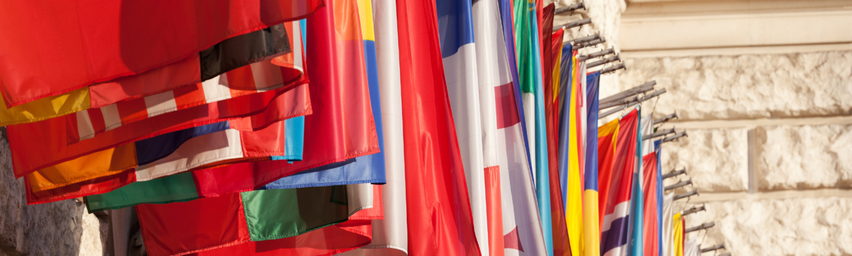 International Flag image