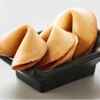 wontons in a small dark green square dish on white background